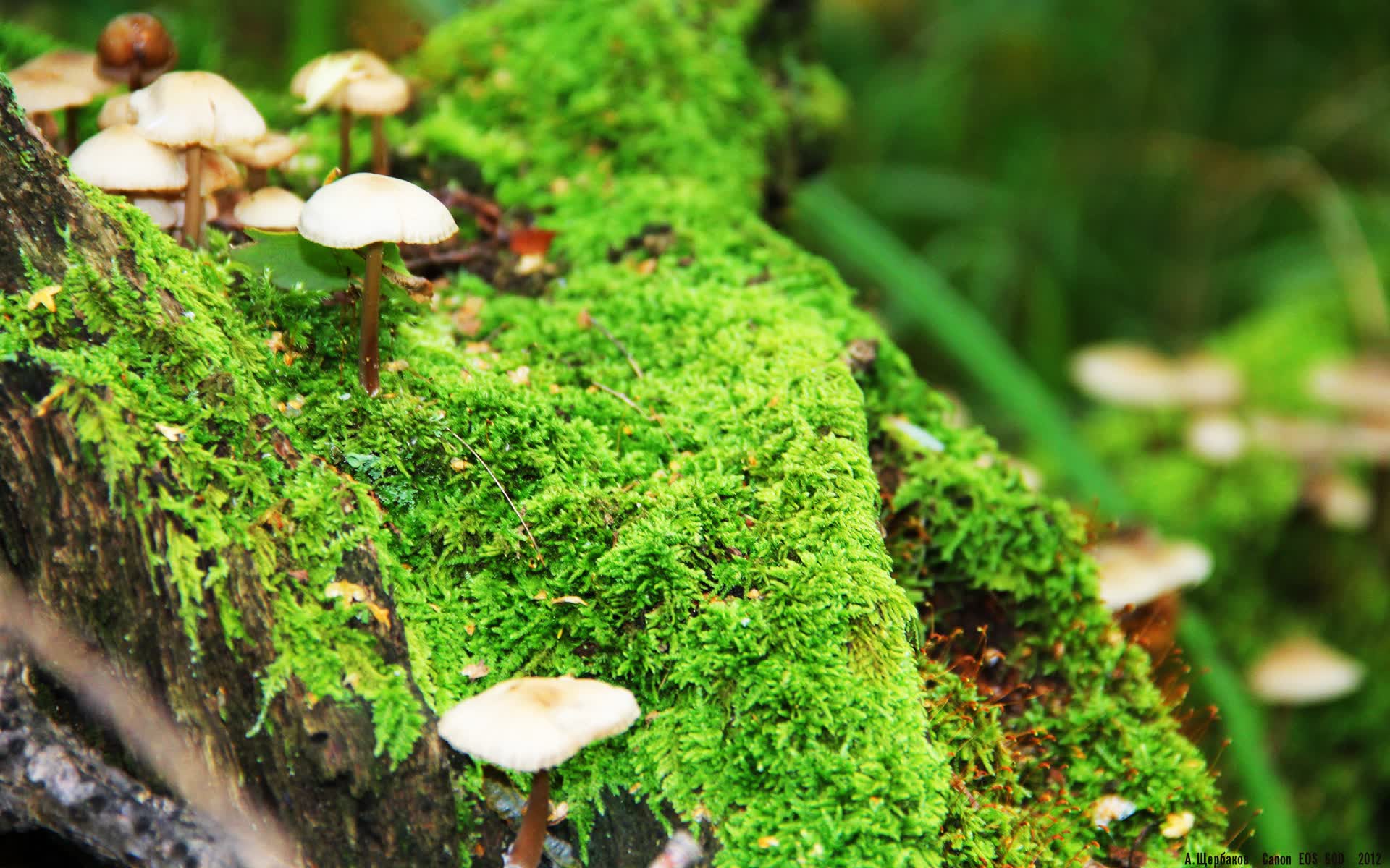 世界举重公开赛赛后科研成果转化示范区首批企业挂牌运行,世界举重比赛现场视频